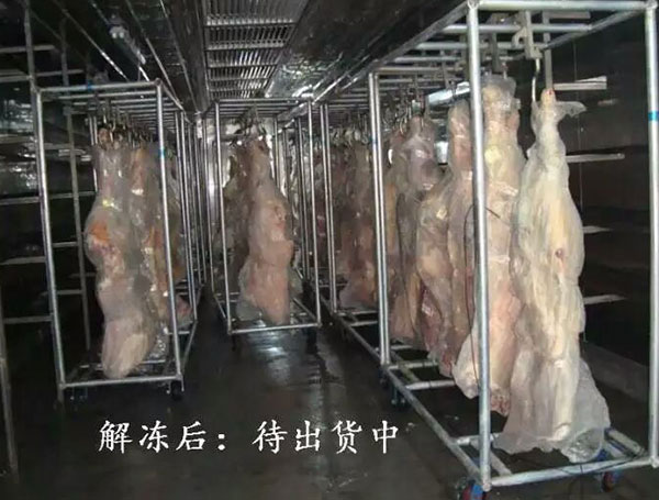 牛肉解冻机系列